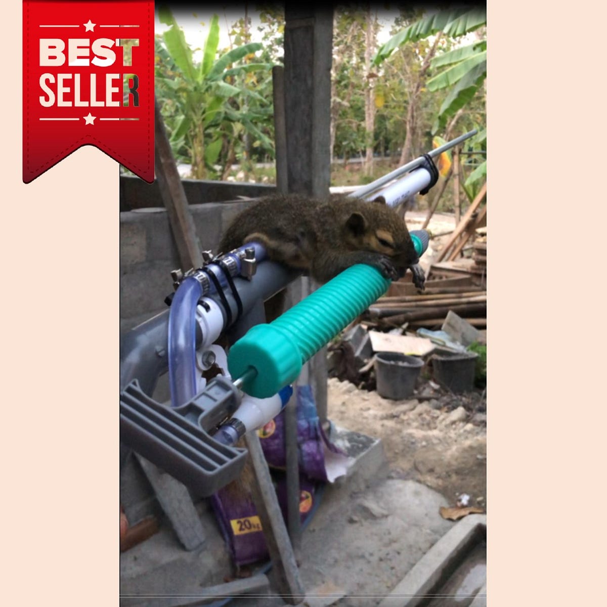 WA 087848114104 Tembak Tikus Pakai Senapan Angin TERBARU