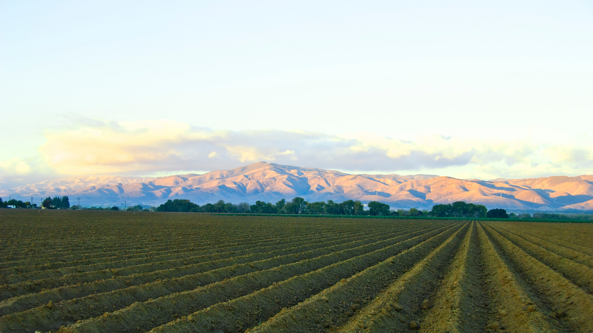 Central California's Emerging Tech Frontier: HawkTower's Vision for a New Startup Hub - Medium