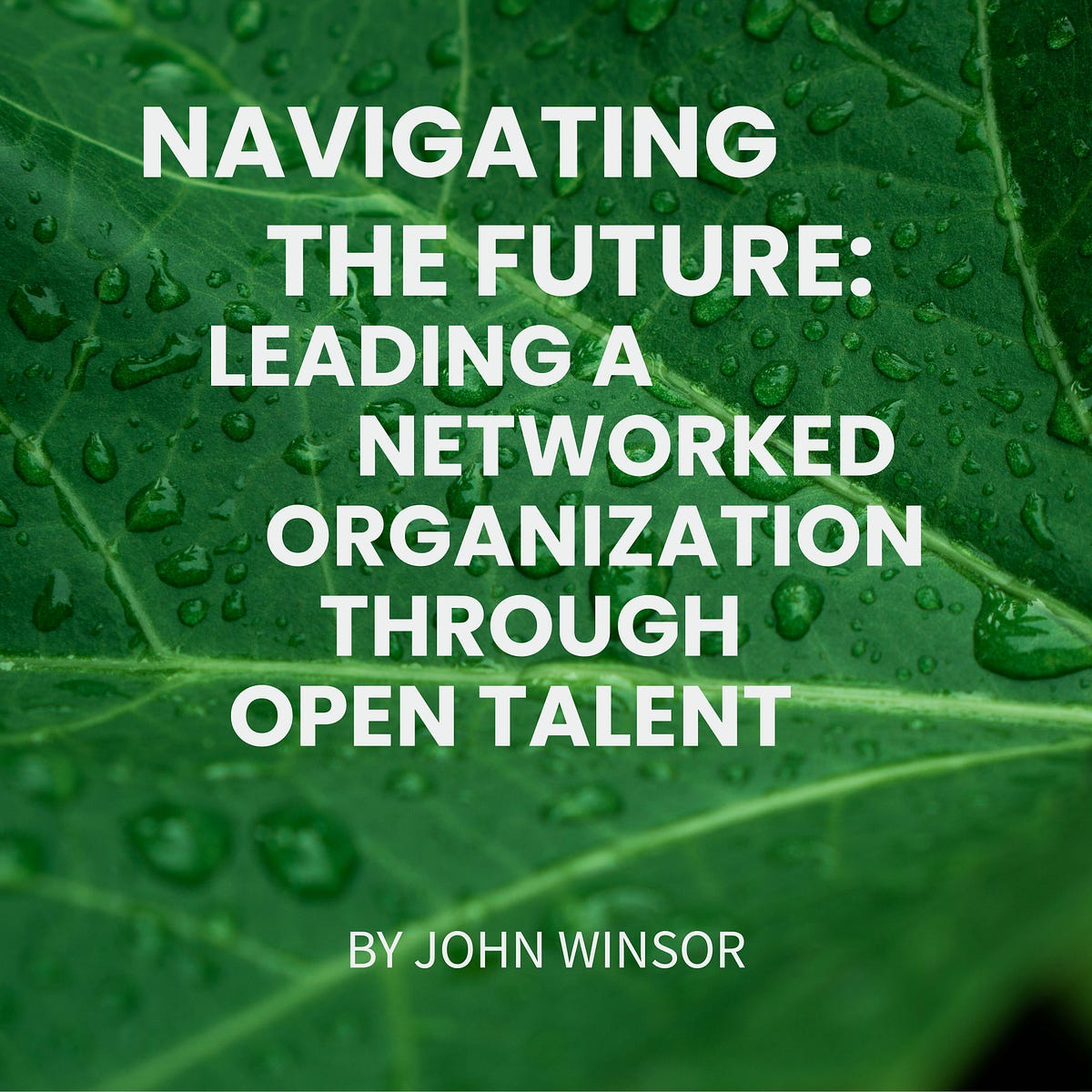 Navigating the Future: Leading a Networked Organization Through Open 