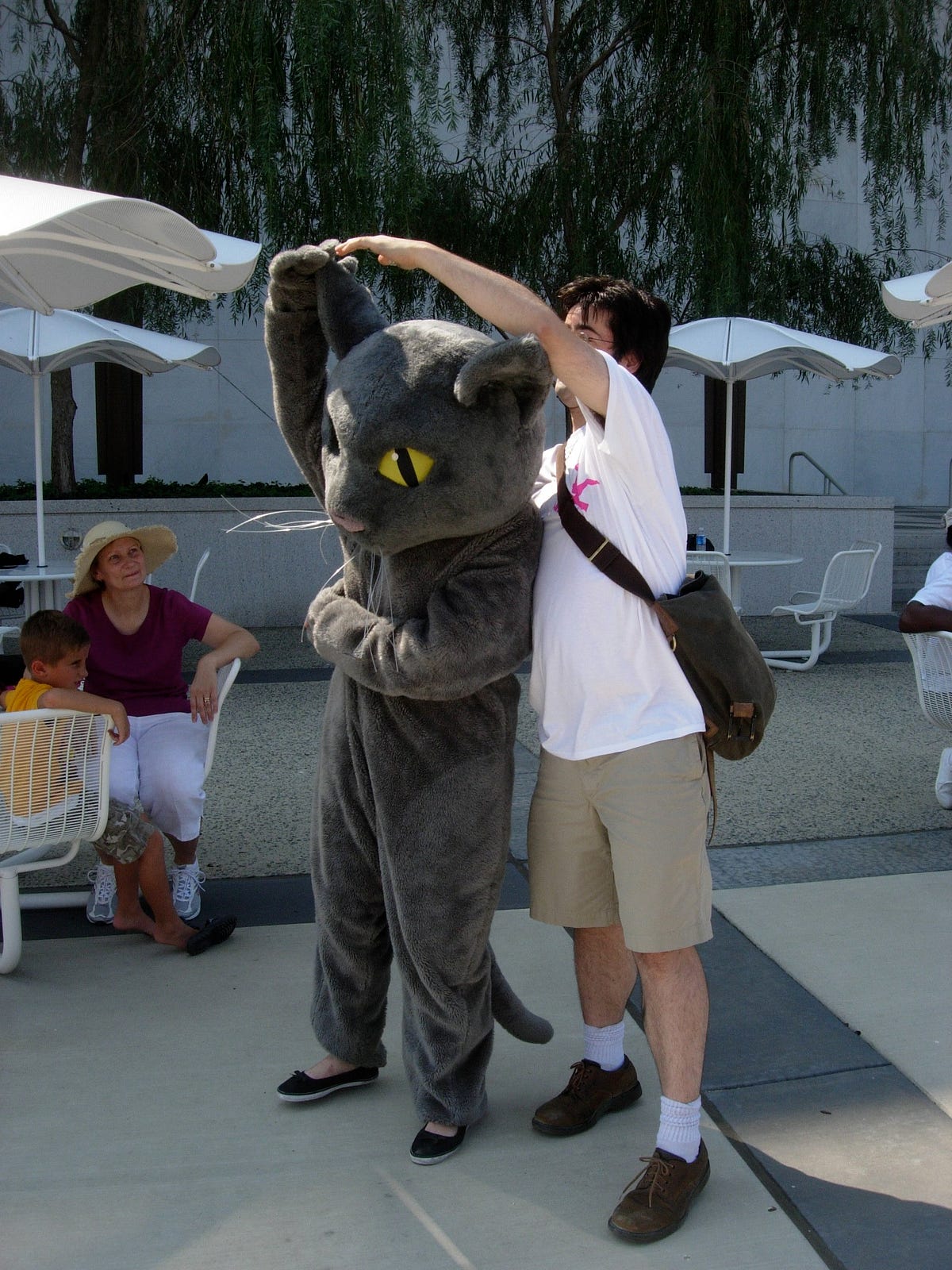 Why Do Cats Knead? Can They Knead Too Much? by Jay Krasnow Catness