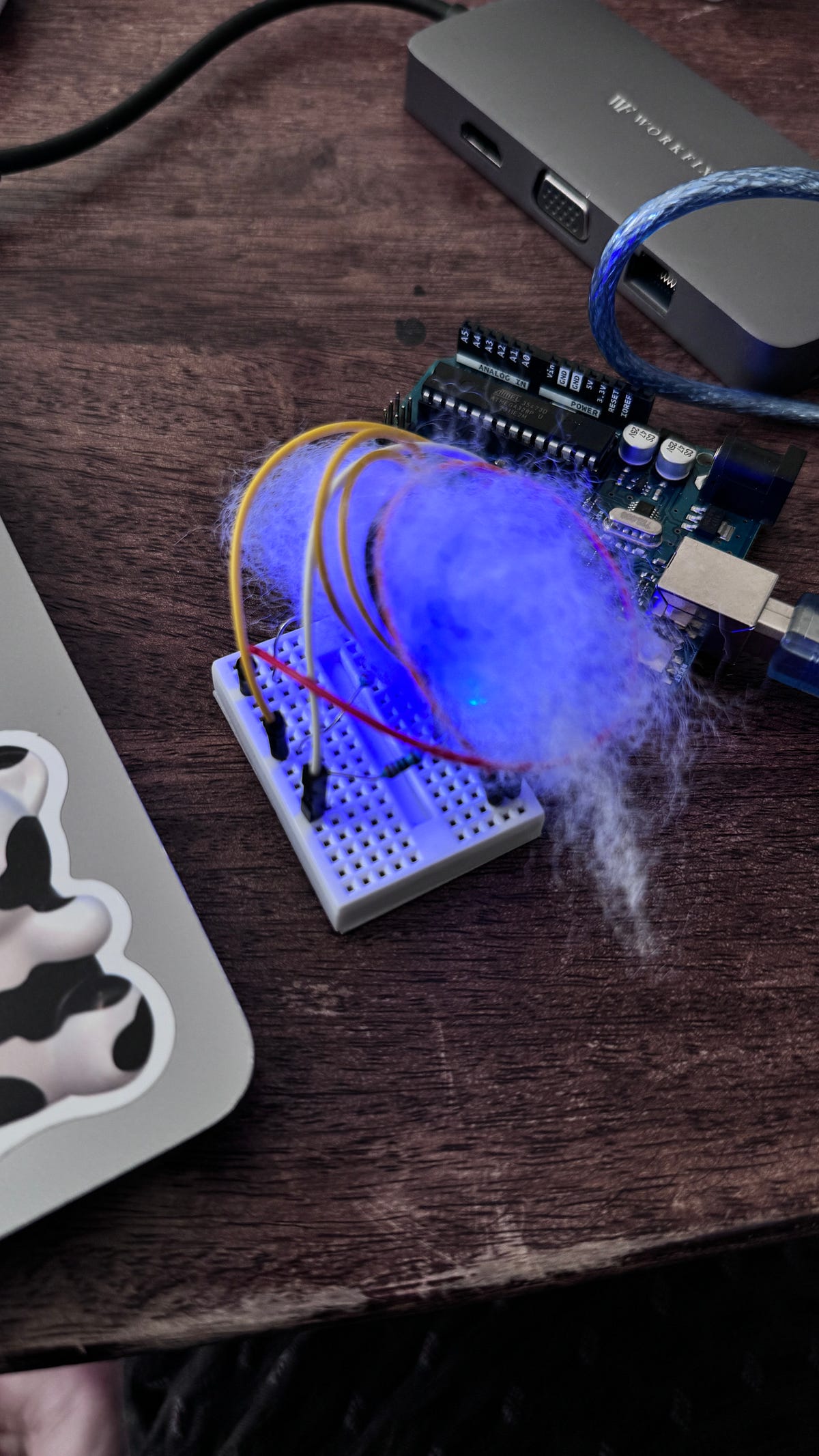 Lab Submission (Lab 2 Digital I/O with Arduino Boards) by Carina