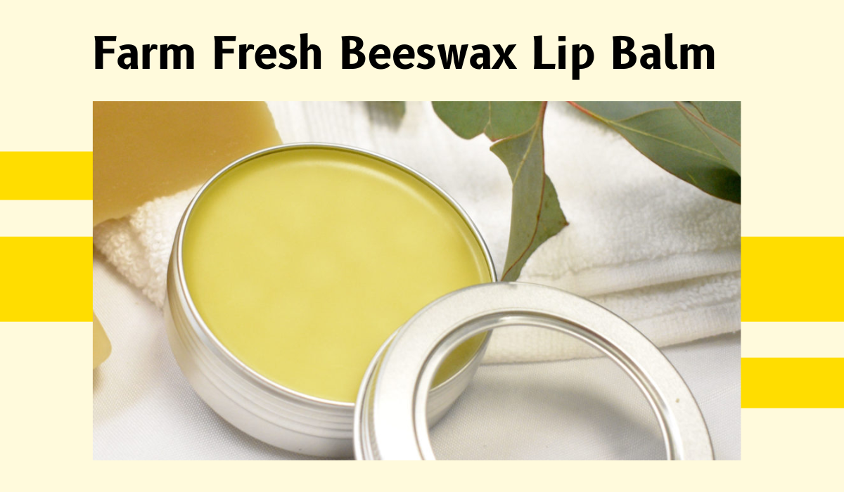 Keep Lips Soft and Smooth with Farm Fresh Beeswax Lip Balm Lisa Betty Medium