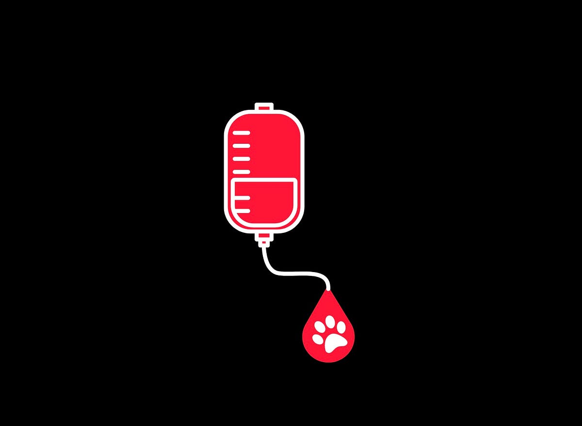The True Cost of Your Pet’s Blood Transfusion by The Introverted Vet