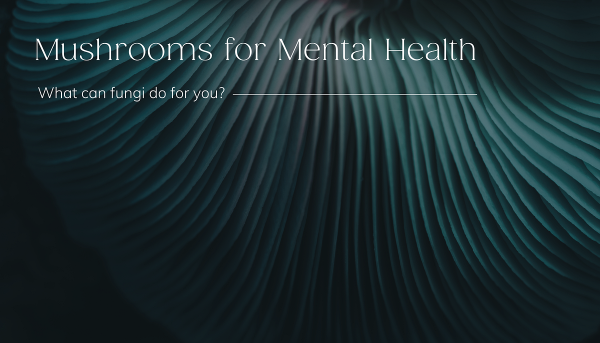 Mushrooms for Mental Health. Want to Support Your Mental Health… by