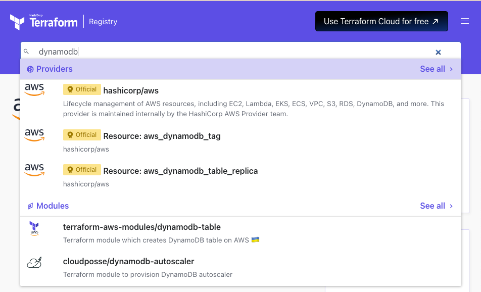 AWS Terraform Provider Resources vs Registry Modules to Provision Infra to AWS