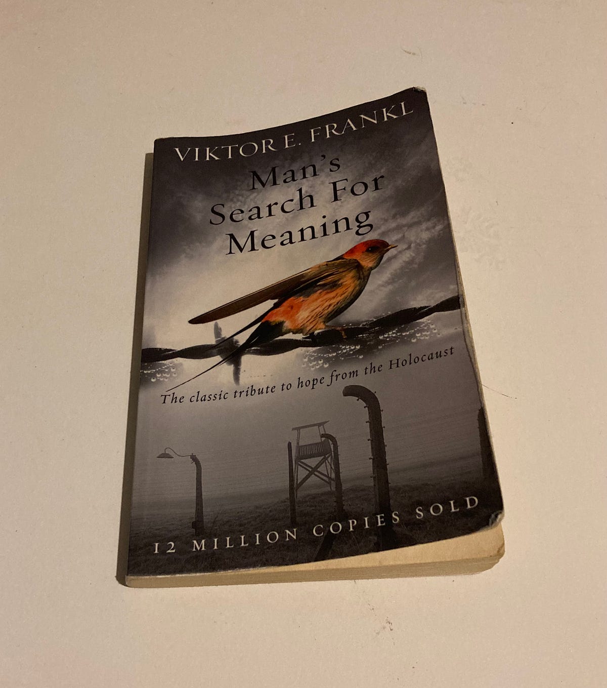 Valuable Lessons from Man’s Search for Meaning by Viktor Frankl | by ...