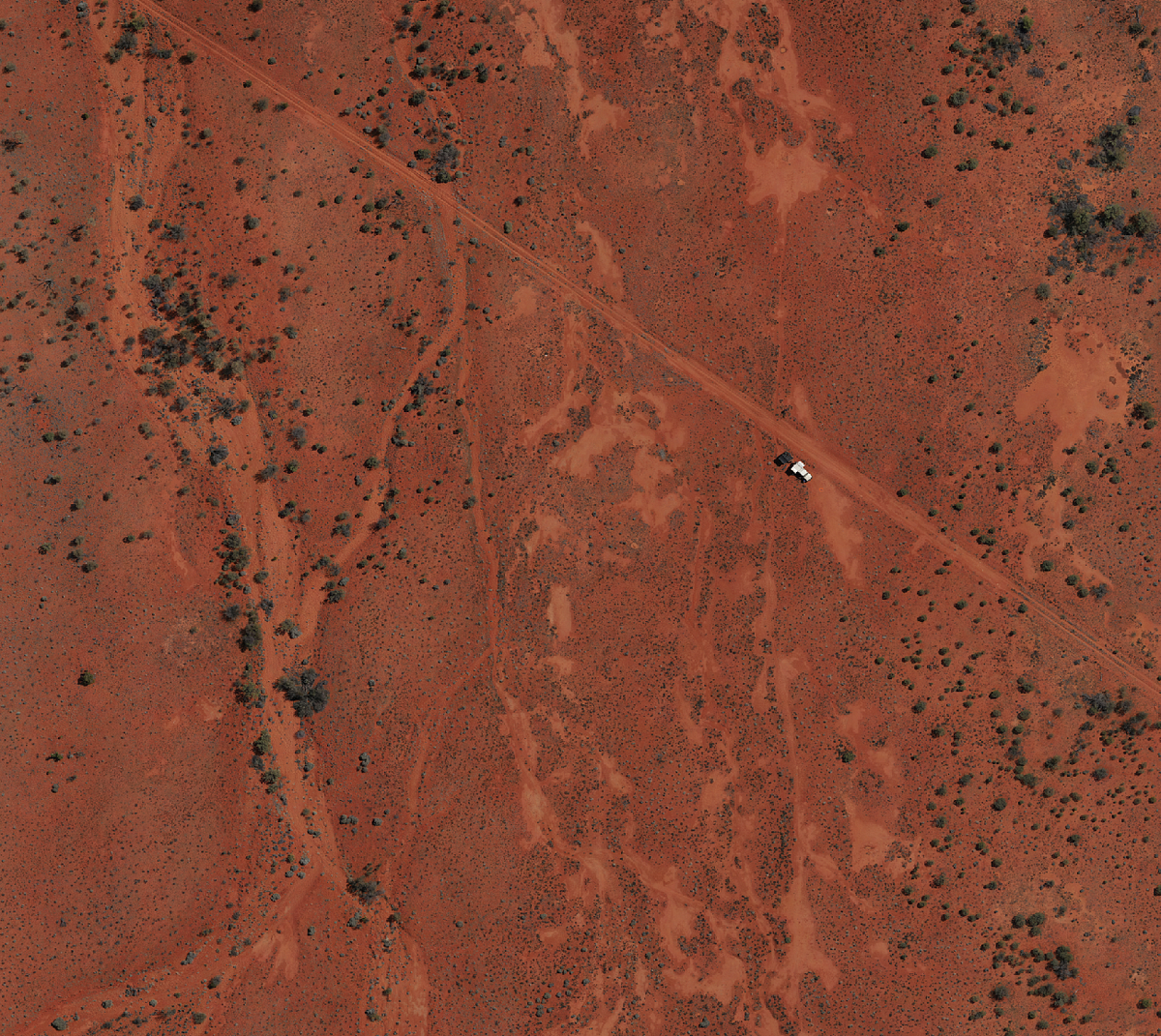 When Your Drone Multispectral Data Defies Plant Physiology: Solving a ...