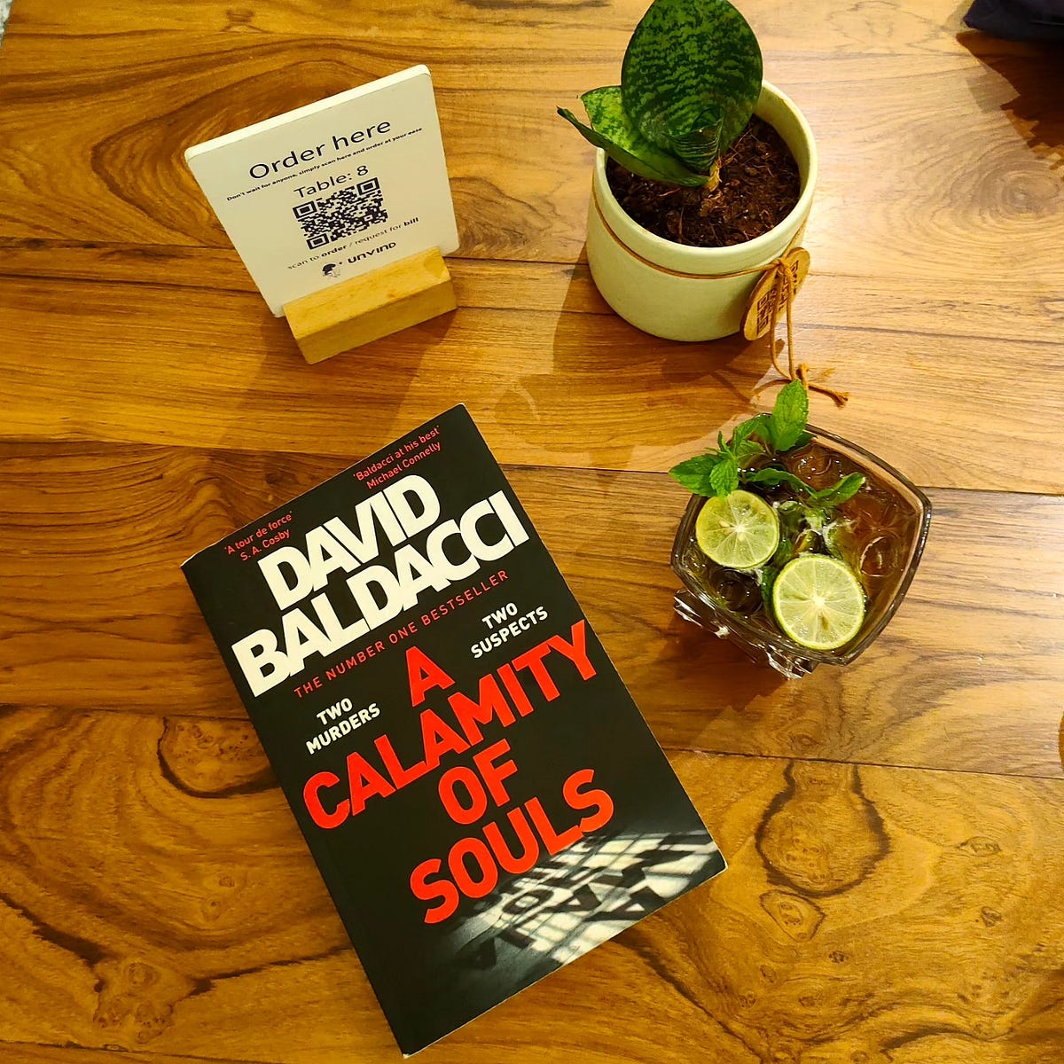 Book review A Calamity of Souls by David Baldacci by