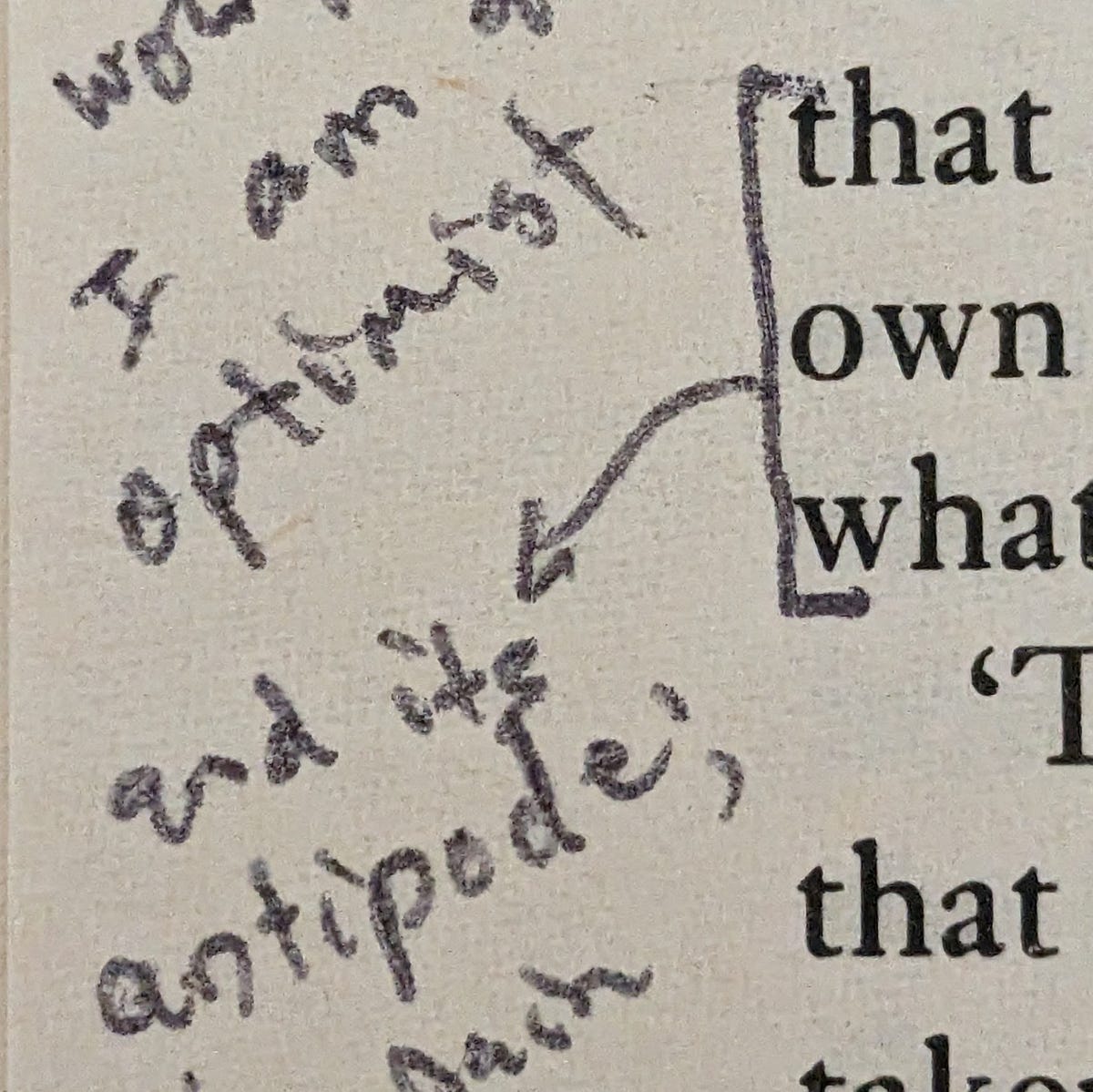 Notes on, in, and around James Woodall’s The Man in the Mirror of the