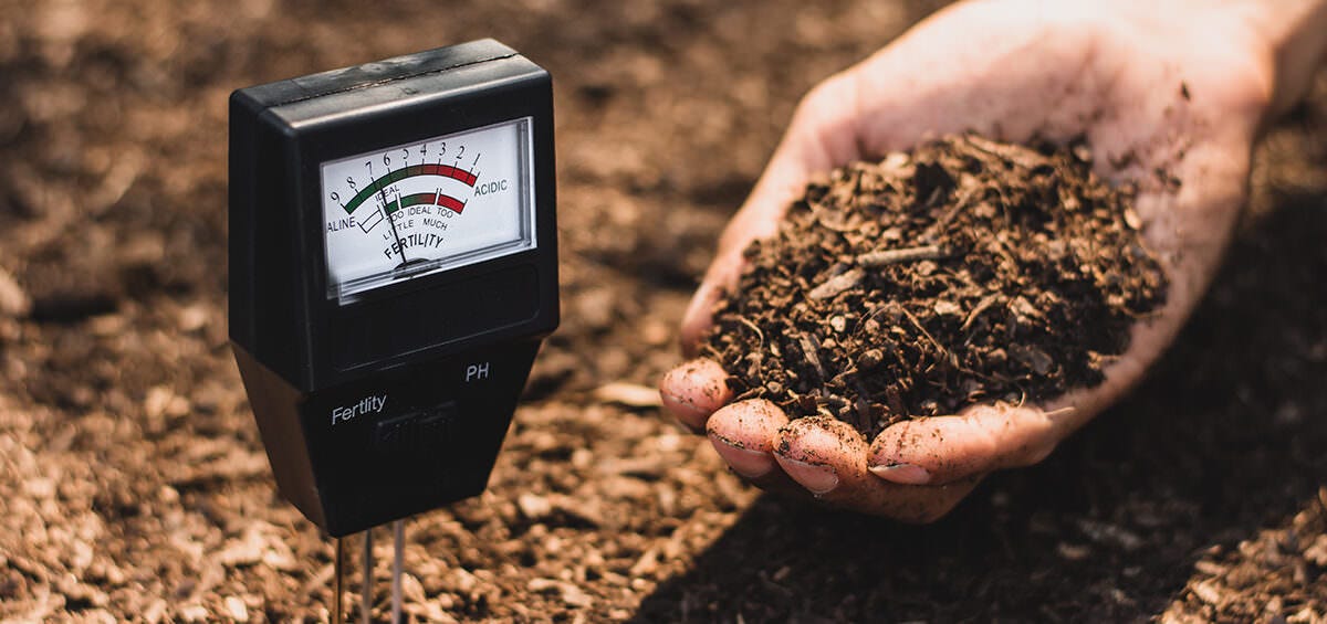 Environmental Sustainability through Soil Testing in Edmonton by