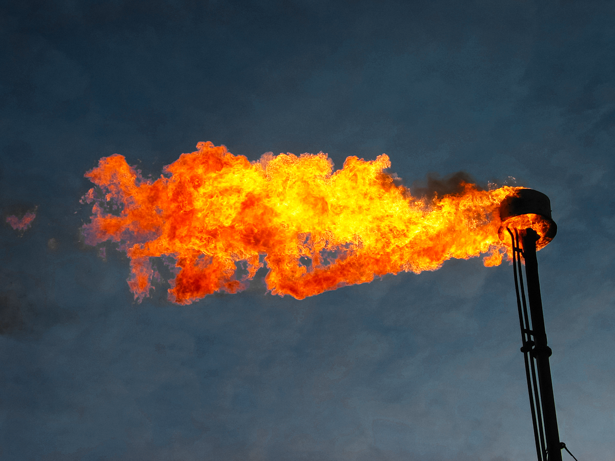 Подпись была, но её украли гномы.