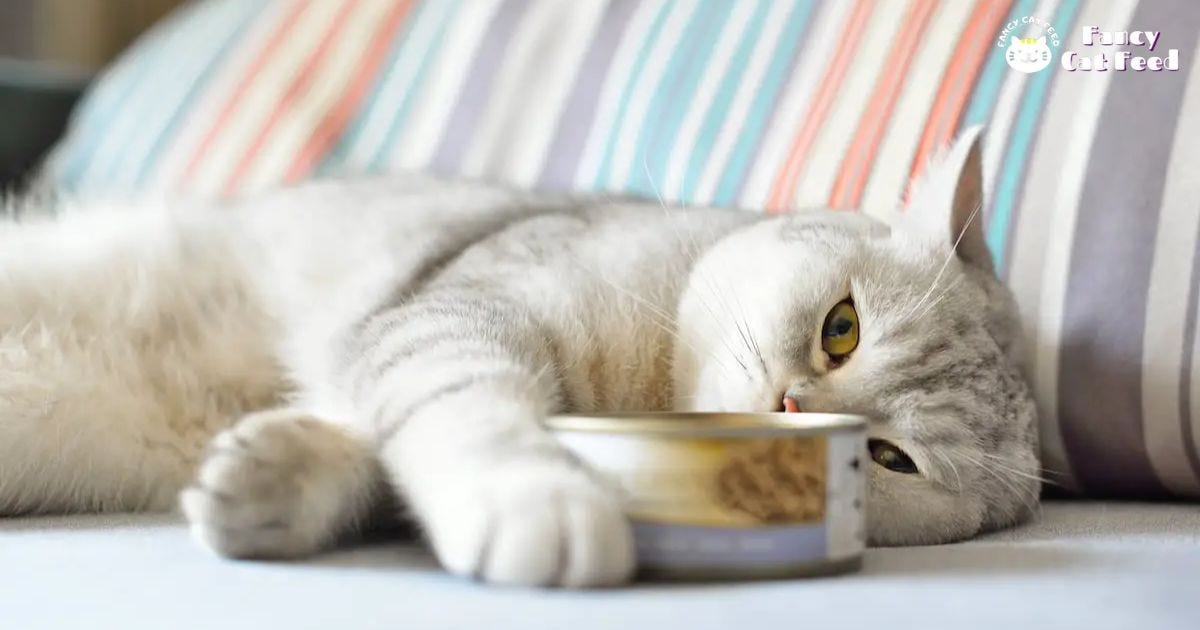 How Long Can Canned Cat Food Sit Out : Safety Tips 1 How Long Can Canned Cat Food Sit Out: Safety Tips