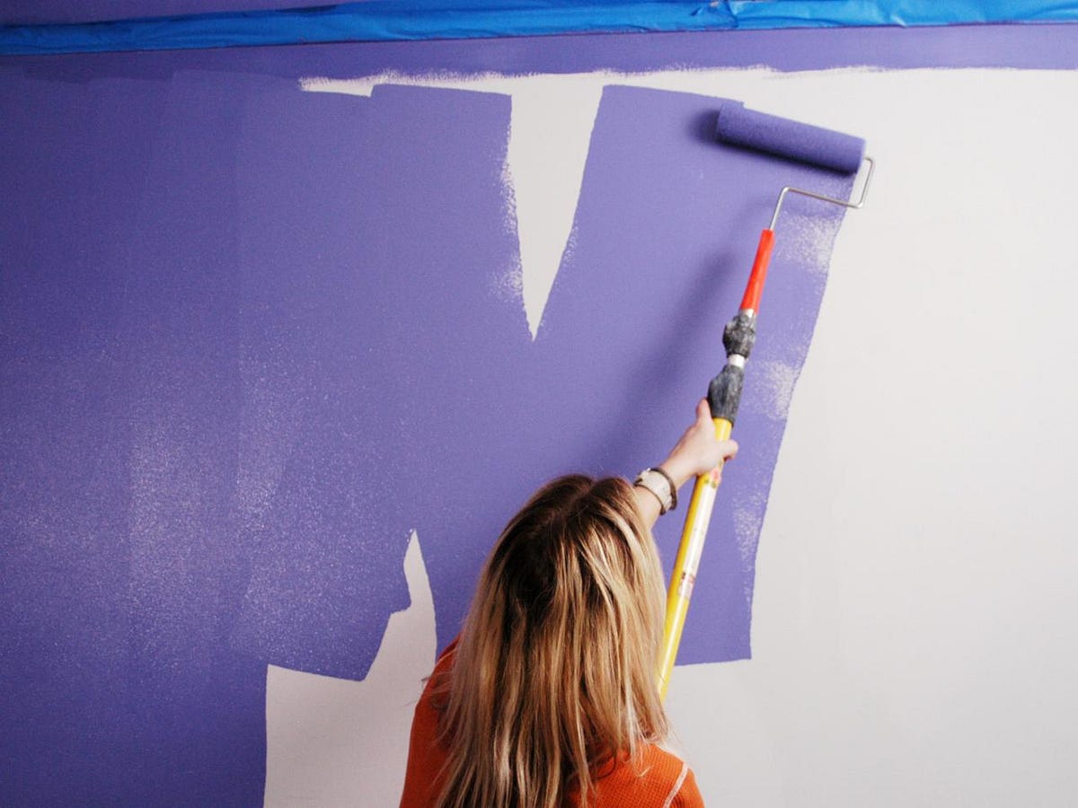 Painter Auckland