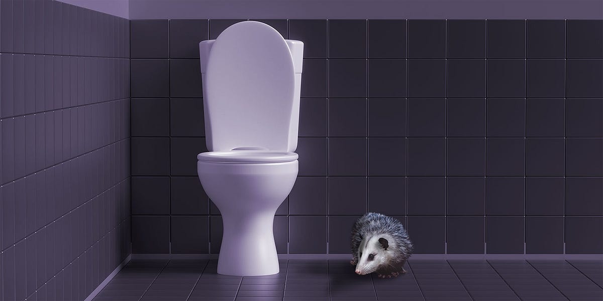 Understanding UX Edge Cases with a Dead Opossum by Jonathan Devine