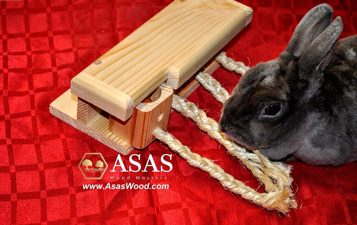 What kind of toys do rabbits like? by AsasWood Aug, 2023 Medium