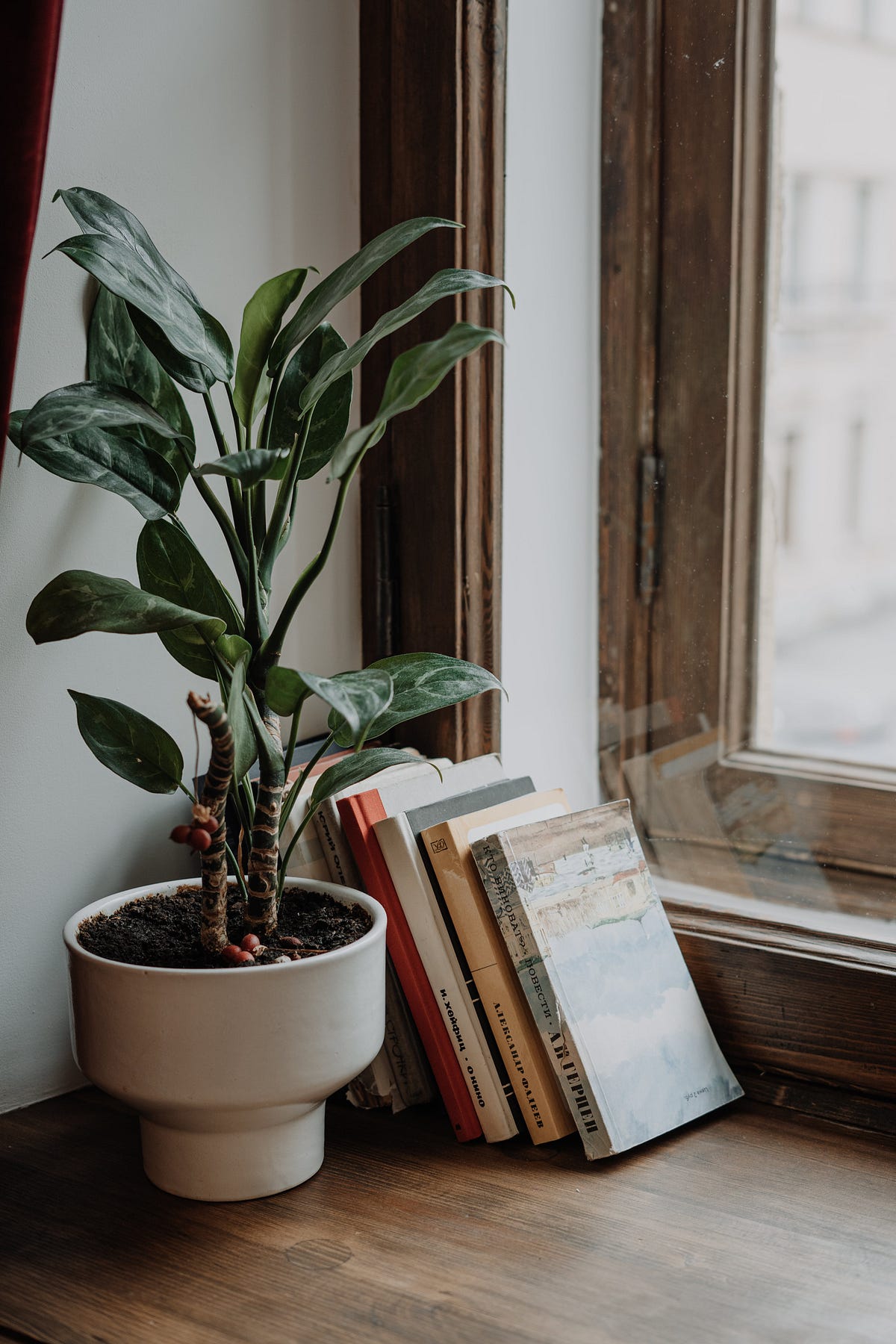 Cristoferideas: The Ultimate Productivity Hack. - kb8h9op