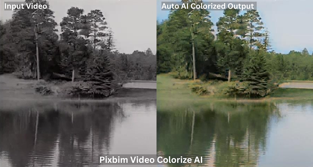 Best Software to Colorize Black and White Movies Medium