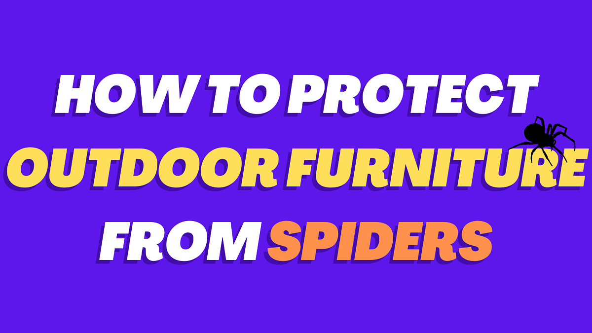 How To Protect Outdoor Furniture From Spiders — Easy Ways 2023
