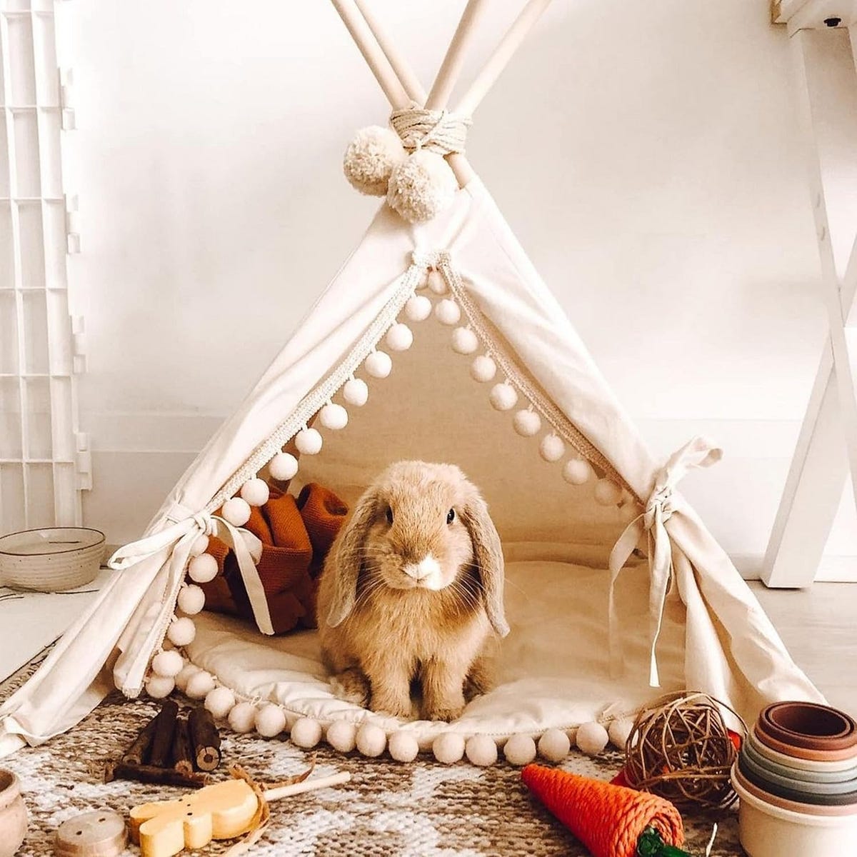 TOP 4 Best beds for rabbits 2024. Choosing the right bed for your rabbit… by You Jul, 2024