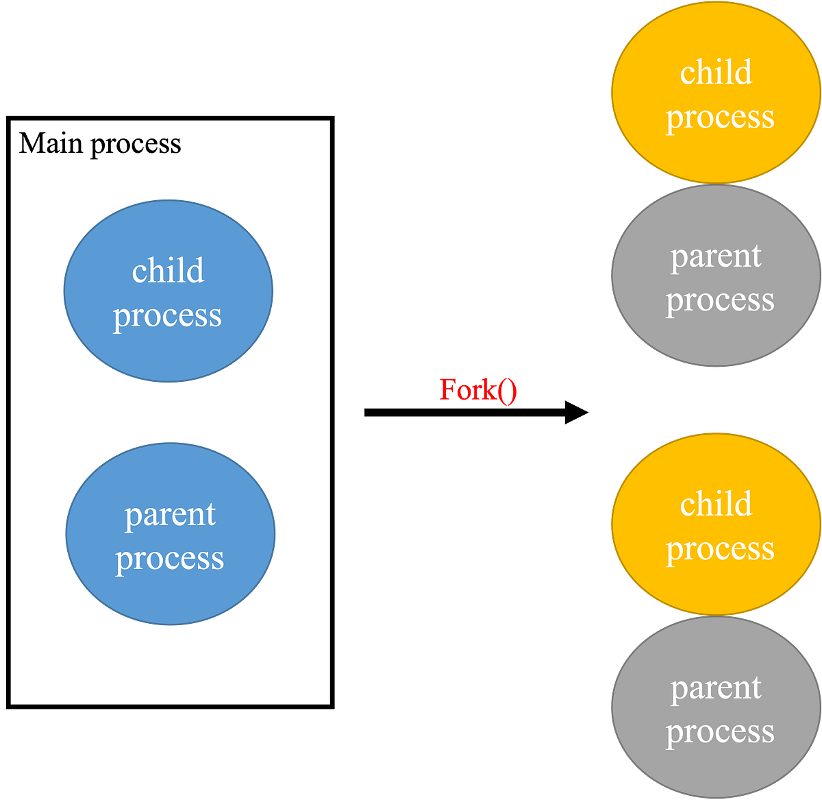 C Fork() Susan Medium