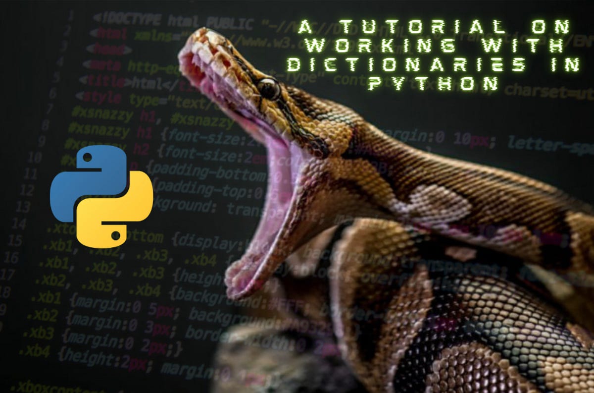 How to Extract Information from Files Using Python | by Chanel | Code ...