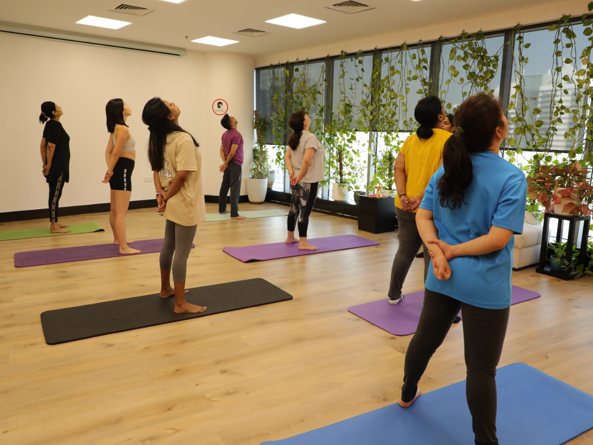 Best Yoga Studio in Dubai — The Hidden Gem Among Dubai's Best Yoga Studios!, by Hatha Vidya Traditional Yoga