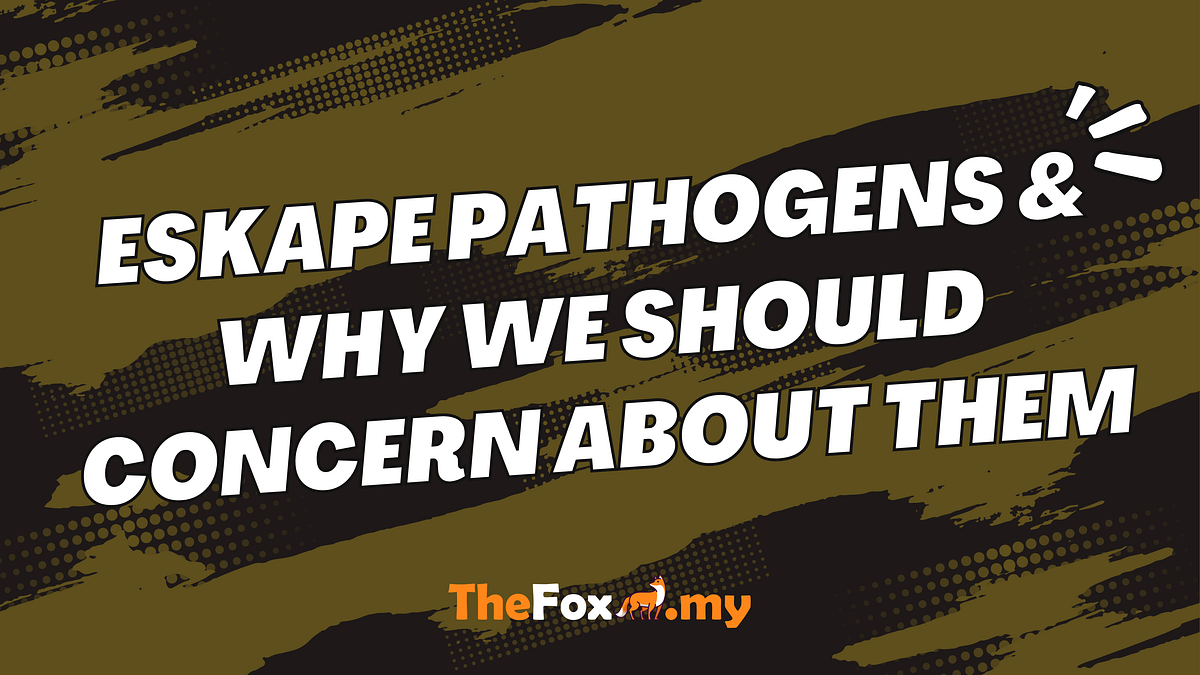 eskape-pathogens-why-we-should-concern-about-them-by-actionpills