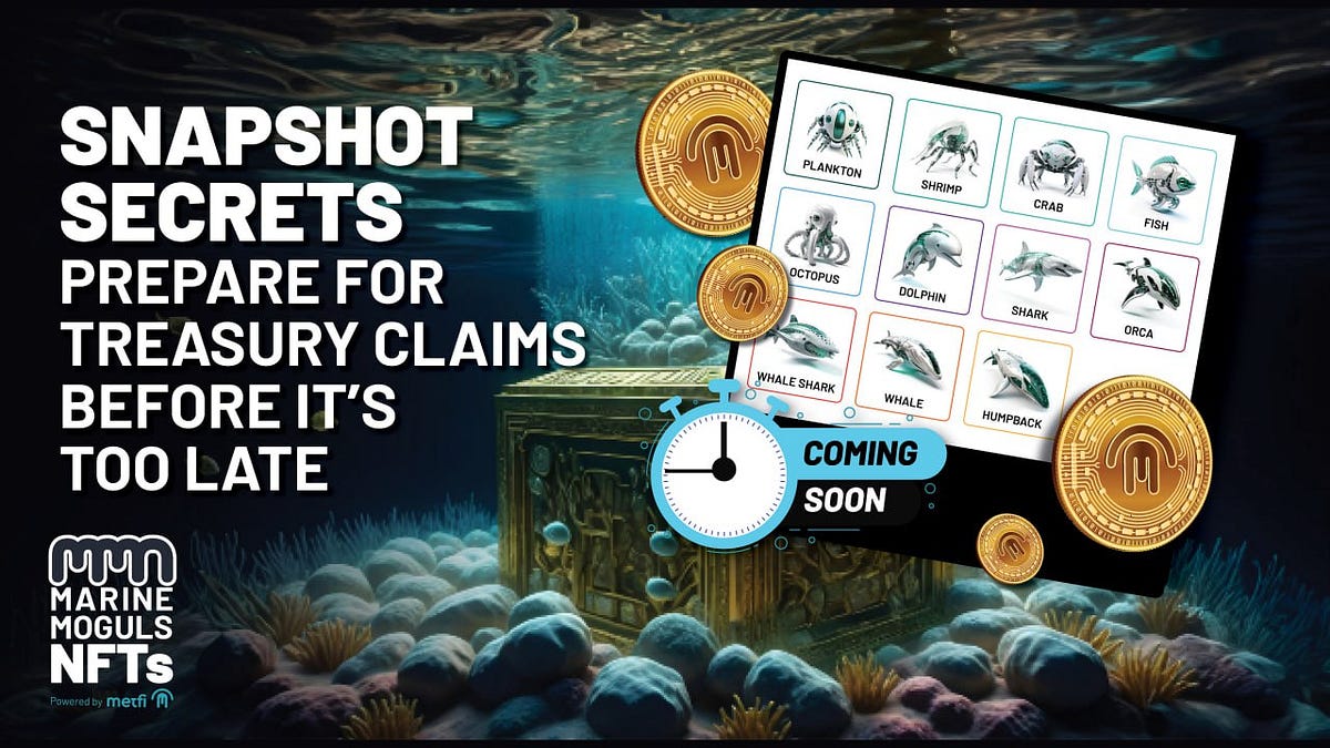 Snapshot Secrets Prepare for Marine Moguls Treasury Claims Before It’s
