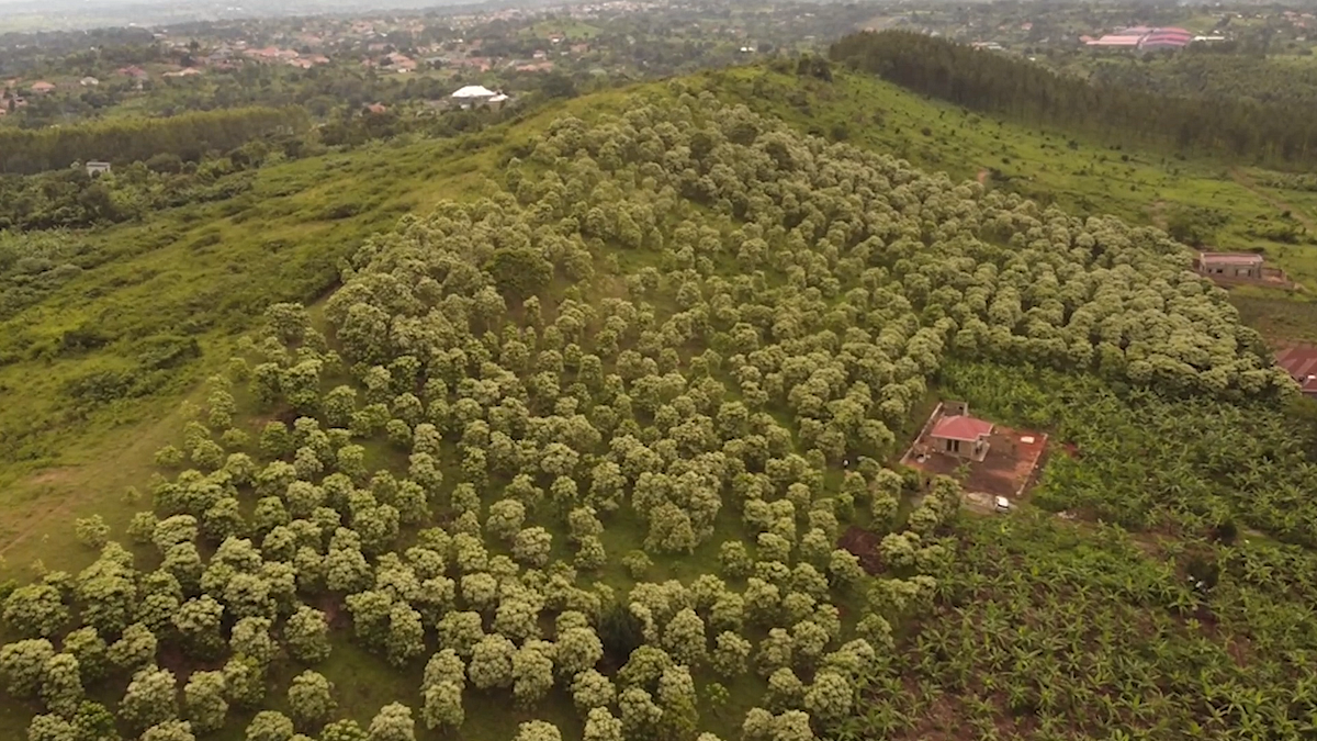 East Africa Biodiesel. As a result of rising energy costs and… by