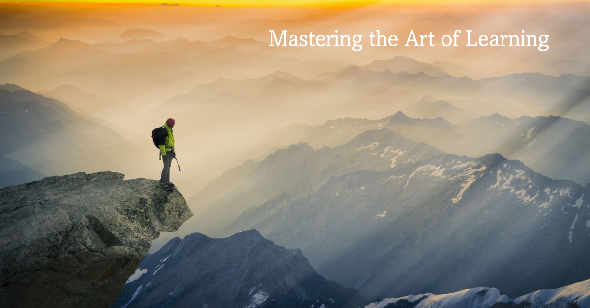 Mastering the Art of Learning
