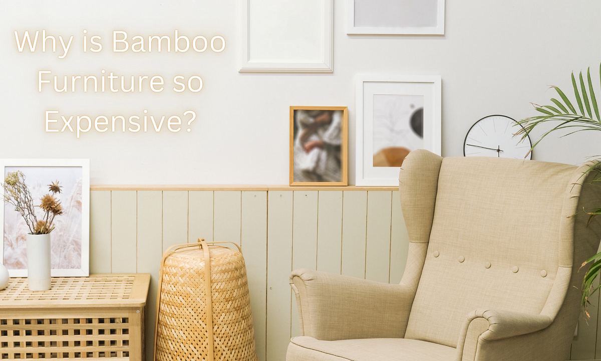 Why is Bamboo Furniture so Expensive? by Bispendra Suren1 Medium