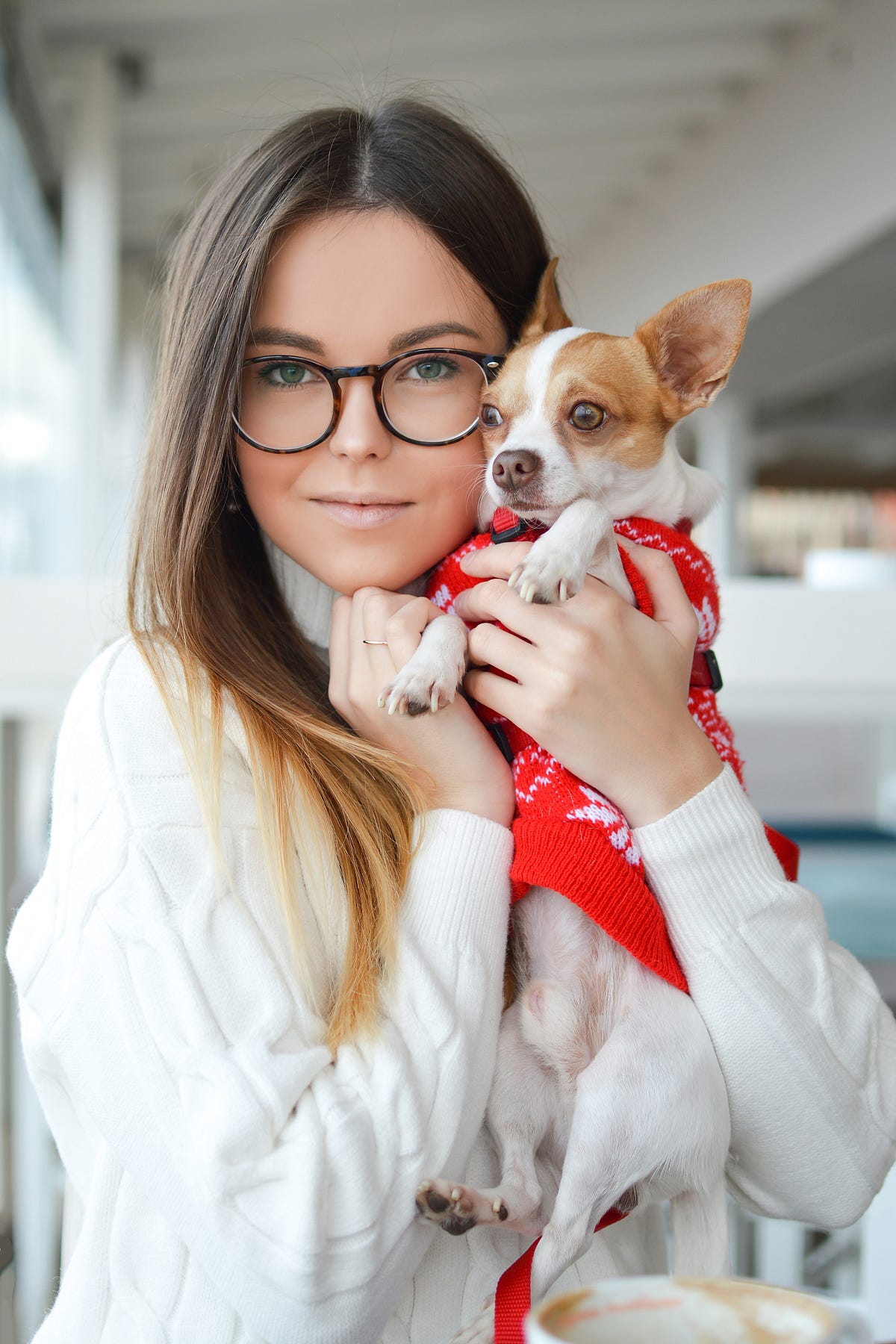 7 Reasons Giving Your Employees The Best Pet Insurance Is Vital By 7-reasons-giving-your-employees-the-best-pet-insurance-is-vital-by
