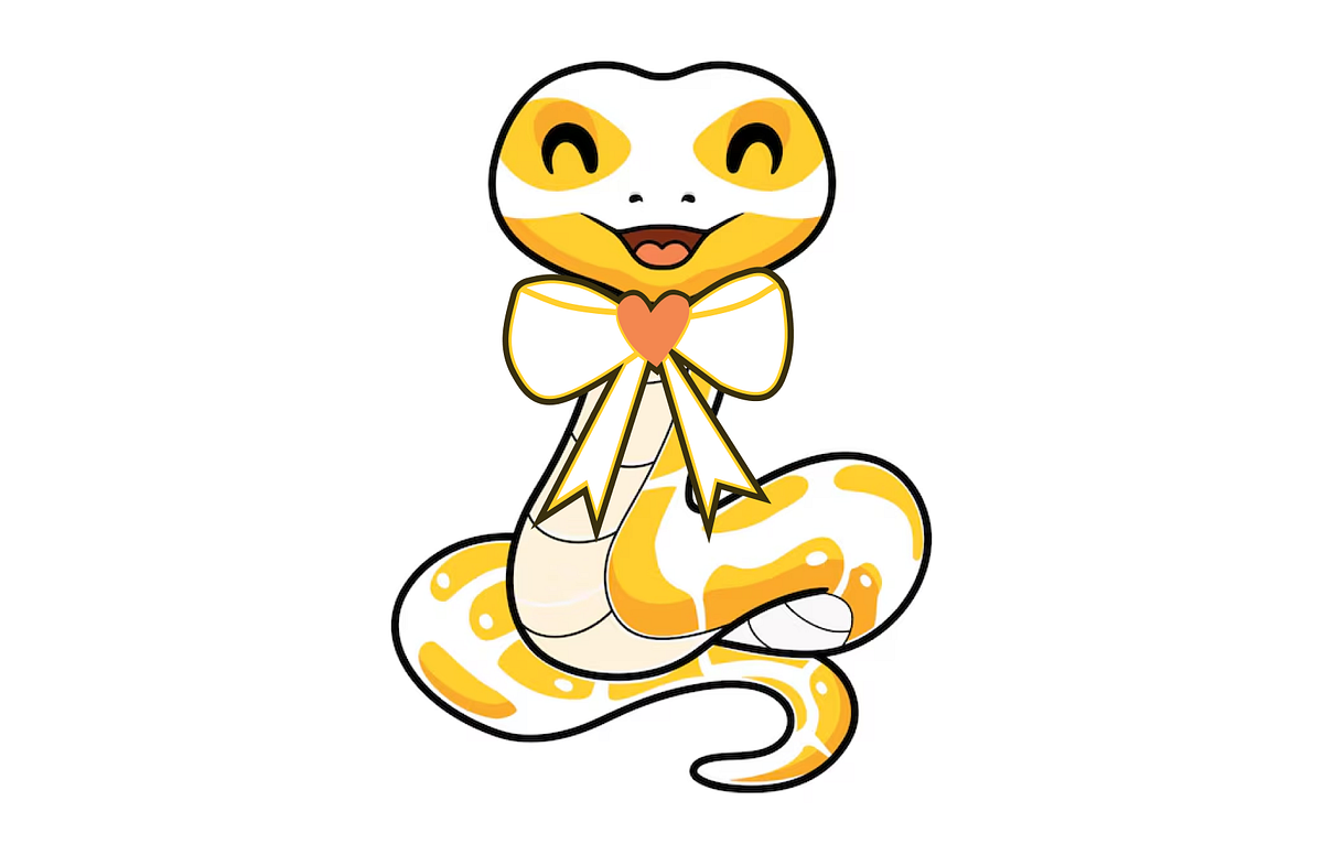 10 tips to make your Python code look more professional | by Ariana ...