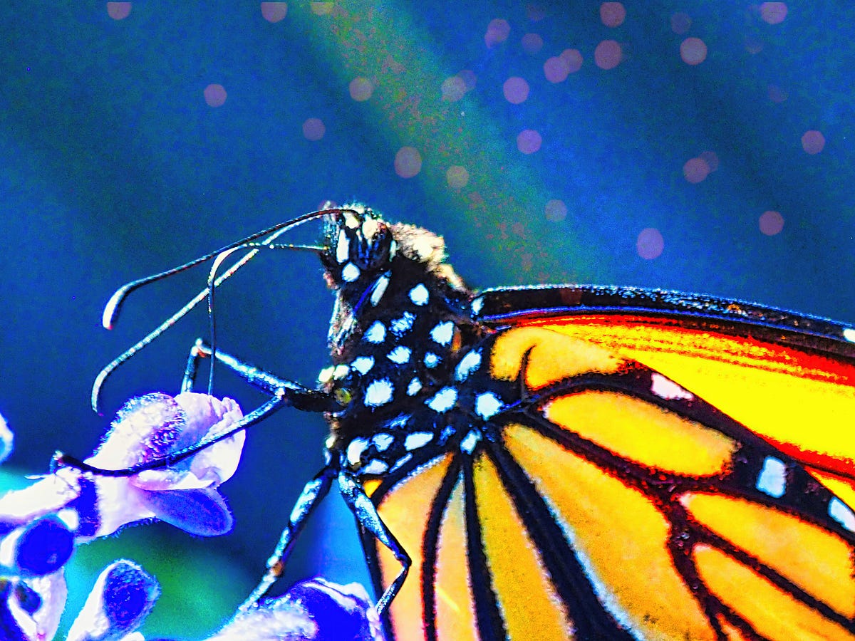 I’m Thankful for Deodorant…and 74 Other Things by S.E. Fairbanks