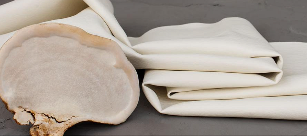 Nature’s threads: creating clothes from the ground up | by Kelly ...