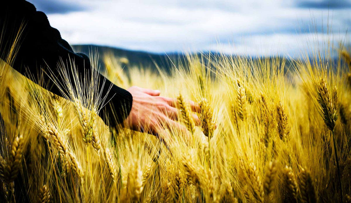 A Simple 4-Part Process to Build a Better Life