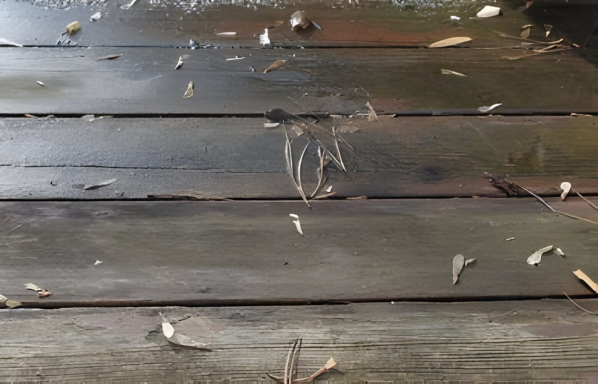 Should I Repair or Replace My Deck? by Adffrntwrld Jun, 2024 Medium