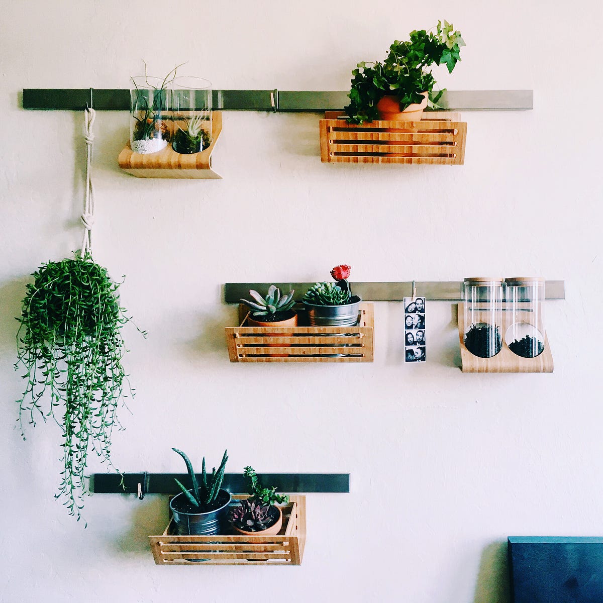 DIY Industrial & Minimalist Plant Wall by Jane Guan Medium