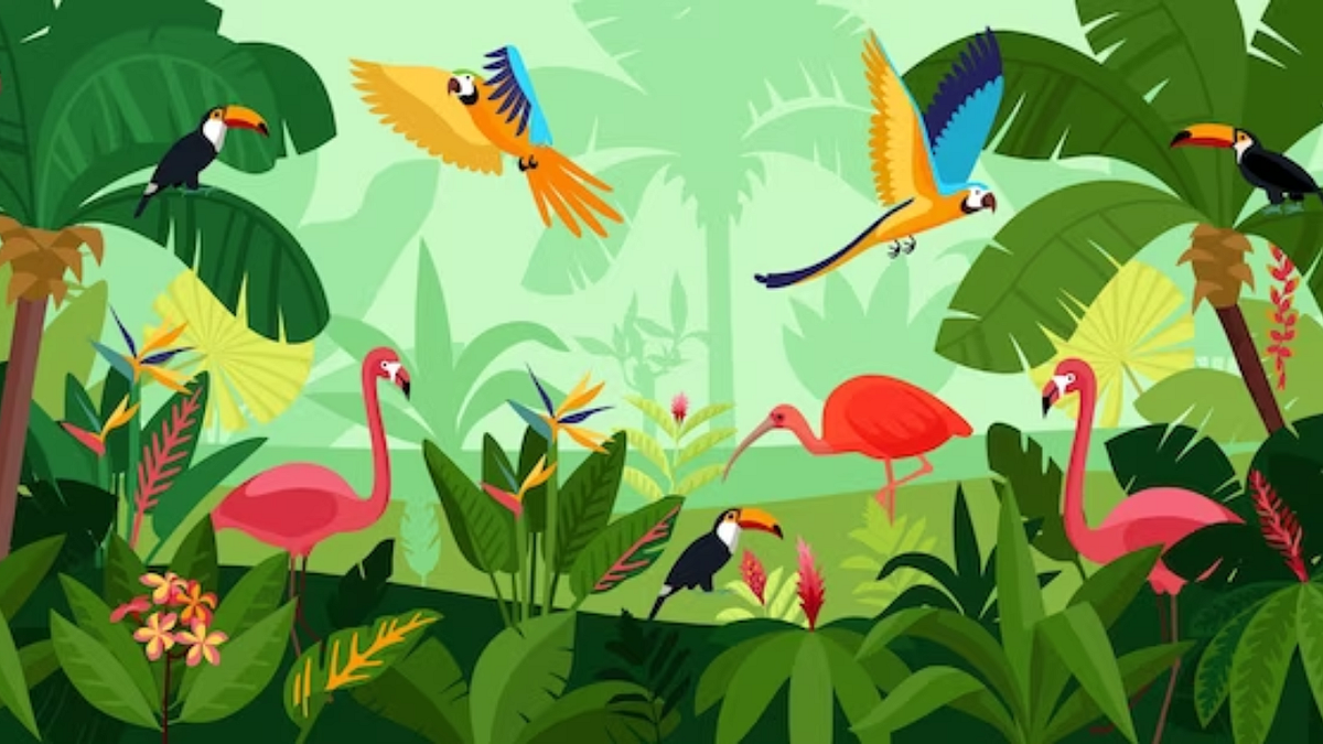 How to Start a Zoo Business in 2024 by Ivan Smith Medium