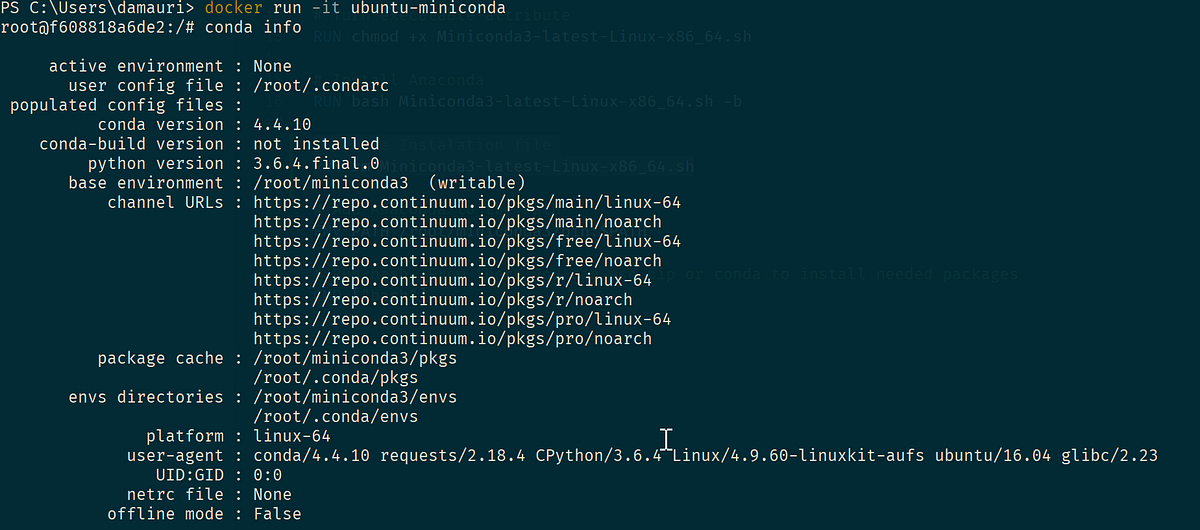Docker run bash