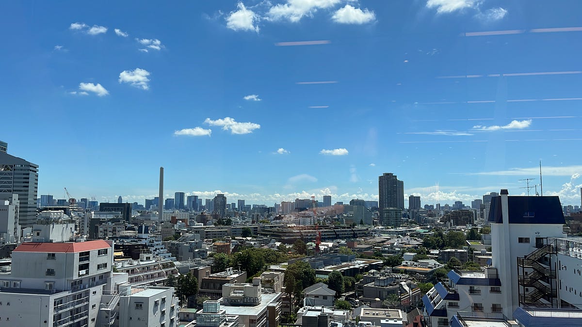 My Experience as a GIP Intern 2023