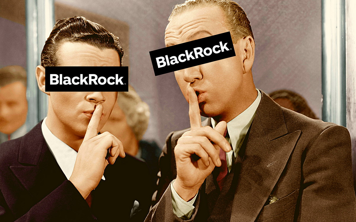 BlackRock: The Secret Company that Owns the World