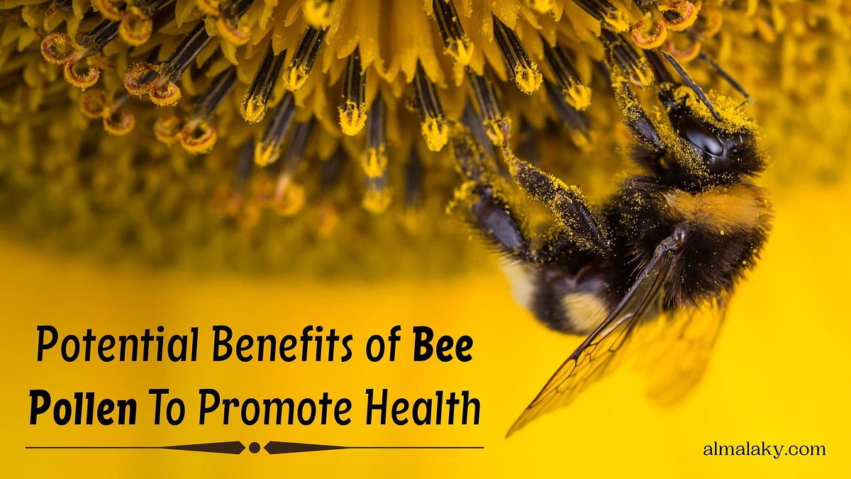 Benefits Of Bee Pollen To Promote Healthy Lifestyle | Medium