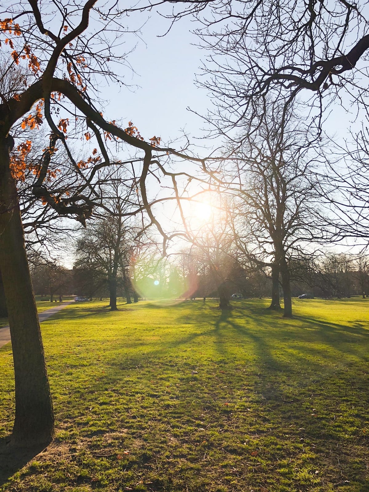 A Morning Meditation - Florence Hall - Medium