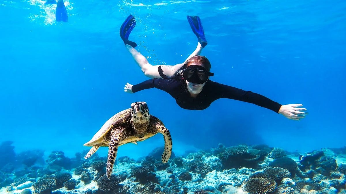 Diving into React Hooks. How hooks work under the hood by krishcdbry