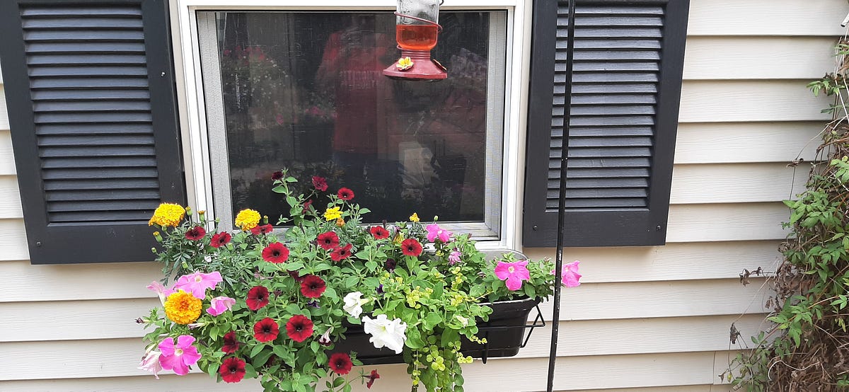 Why a Traditional Window Box May Be Perfect For Your Home | by Melissa ...