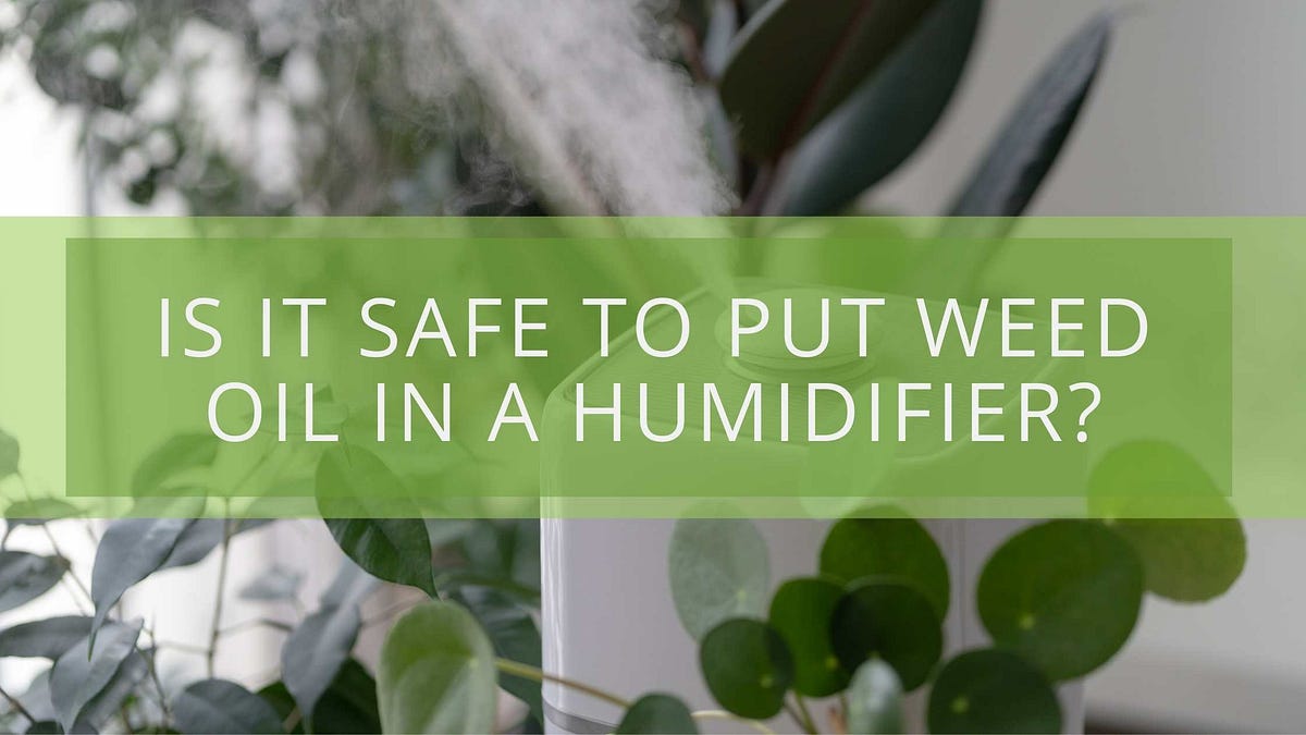 Is it Safe To Put Weed Oil In A Humidifier? by SativaBliss Cannabis