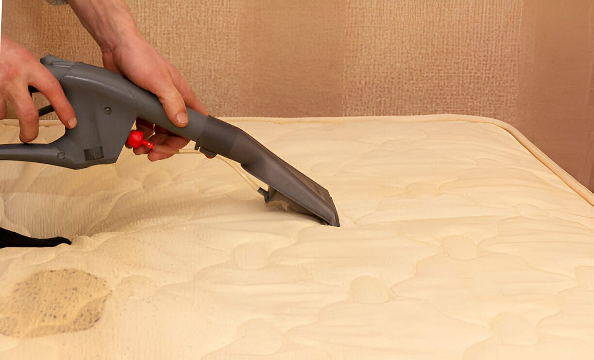 Revitalize Your Furniture The Ultimate Guide to Chicago Upholstery Cleaning by
