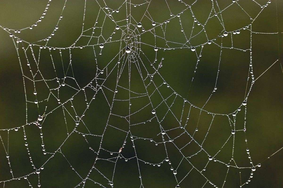 bing Market Technological Advancements, Growth Opportunity and