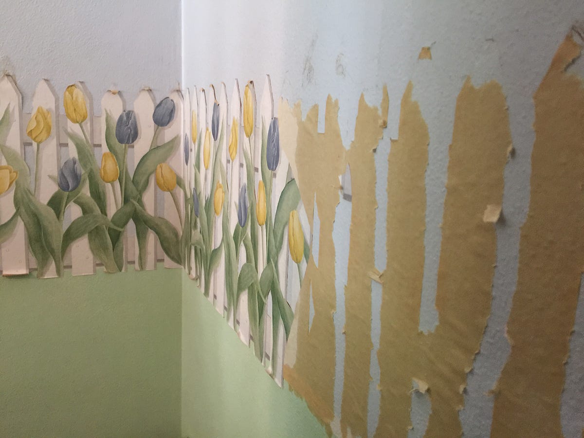 Why am I scraping wallpaper?. I’m 31, have a Master’s Degree, 6 years